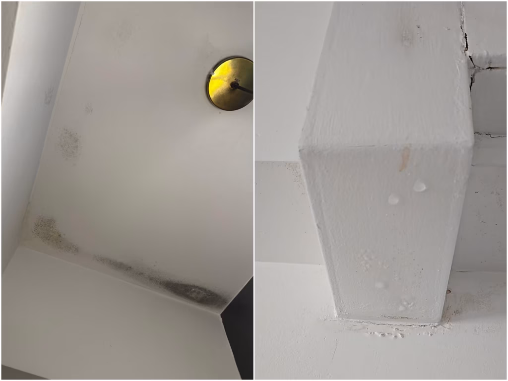 mould on ceiling from roof leakage
