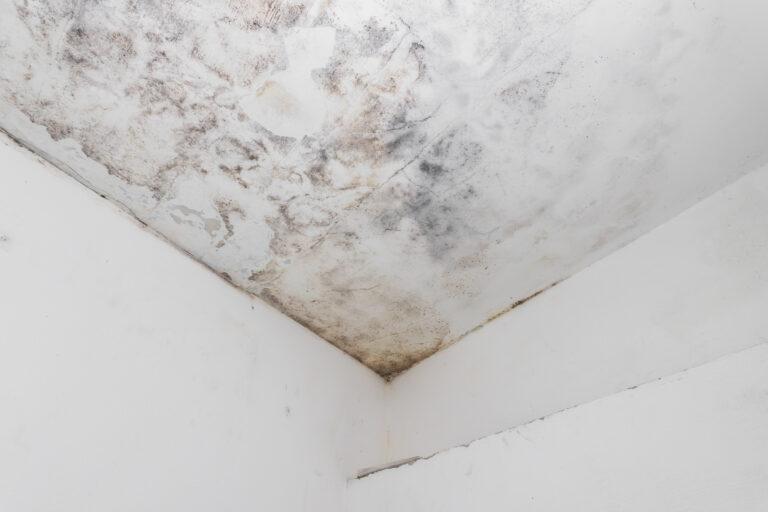 Severe water damage and mold on a ceiling corner, indicative of a ceiling leak in a Singapore home.